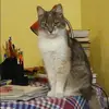 Отзыв от Анфиса Розанова